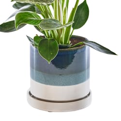 Chive Minute 3 in. D Ceramic Succulent Pot Green Blue