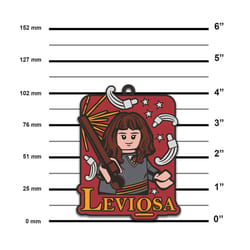 LEGO Harry Potter Leviosa Magnet Silicone 1 pk