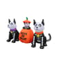 image-3