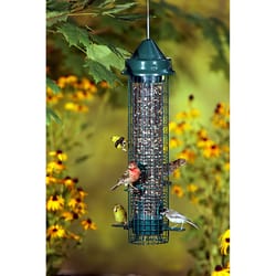 Brome Bird Care SquirrelBuster Songbird 1.4 lb Metal/Plastic Bird Feeder