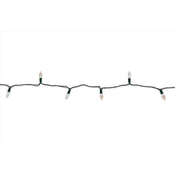 Celebrations Platinum LED C6 Multicolored/Warm White 50 ct String Christmas Lights 25 ft.