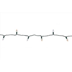 Celebrations Platinum LED C6 Multicolored/Warm White 50 ct String Christmas Lights 25 ft.