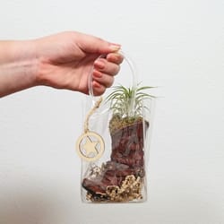 Eve's Garden 6 in. H X 1.5 in. W X 3.5 in. D Ceramic Cowboy Boot Air Plant and Succulent Brown