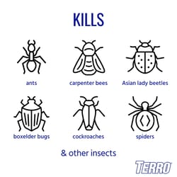 TERRO Ant Killer Liquid 19 oz