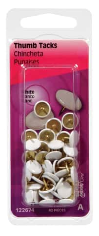 Hillman 0.375 in. L White Steel Thumb Tacks 40 pk Hillman 0.375 in. L White Steel Thumb Tacks 40 pk