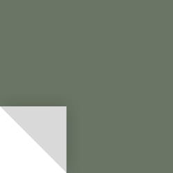 Samplize Benjamin Moore Cushing Green Peel & Stick Color Sample HC-125