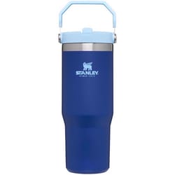 Stanley The IceFlow 30 oz Double-wall vacuum insulation Lapis BPA Free Insulated Straw Tumbler