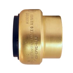 Apollo Tectite Push to Connect 1 in. PTC in to Brass Cap