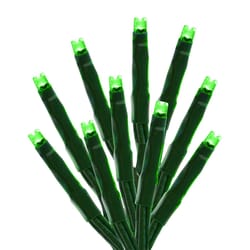 Holiday Bright Lights Starry LED Rice Compact Green 100 ct String Christmas Lights