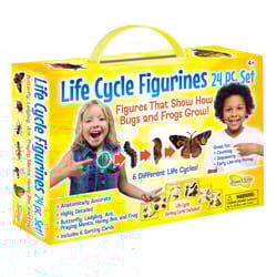 Insect Lore Bugs and Frogs Life Cycle Figurines Multicolored 24 pc