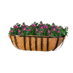 Panacea 24 in. W Steel English Wide Band Deck Rail Planter Black