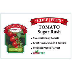 Chef Jeff Red Standard Sugar Rush Tomato Vegetable Plant