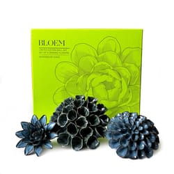 Chive Ceramic Flowers 2.9 in. H X 8.8 in. W X 9.9 in. L Glazed Blue Ceramic Bloem Box Set