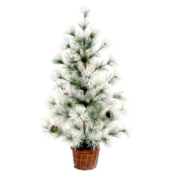 Celebrations Green/White Frosted Tree Christmas Tree 24 in.