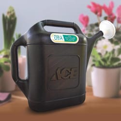 Ace Black 2 gal Plastic Watering Can