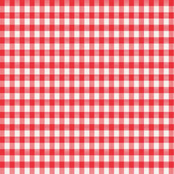 Magic Cover Red/White Checkered Vinyl Disposable Tablecloth 90 in. 52 in.