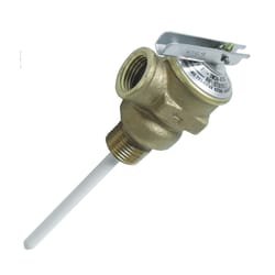 Camco 1.6 L Temperature and Pressure Relief Valves 1 pk