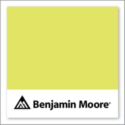 Benjamin Moore Limelight 2025-40