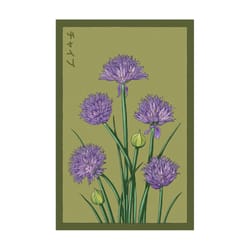 Chive Shido Seed Co. Chives Seeds 1 pk