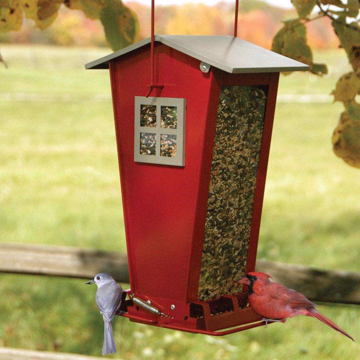 Audubon Snack Shack Wild Bird 7 lb. Steel Squirrel-Resistant Bird Feeder 2 ports