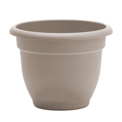 Bloem Ariana 8.5 in. H X 11 in. W X 10 in. D Plastic Traditional Planter Pebble Stone