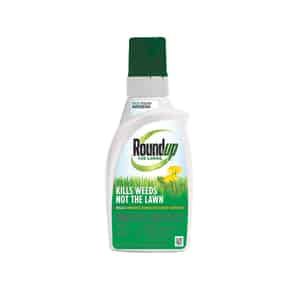 Roundup  For Lawns  Concentrate  Weed Killer  32 oz. 