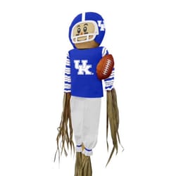 Sporticulture NFL 60 in. Kentucky Wildcats Yard Stake