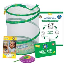 Insect Lore Butterfly Garden Growing Kit Green