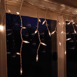 Celebrations Incandescent Mini Clear 50 ct Icicle Christmas Lights 2.67 ft.