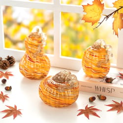 Glitzhome Stripes Pumpkin Gourd Glass 3 pc