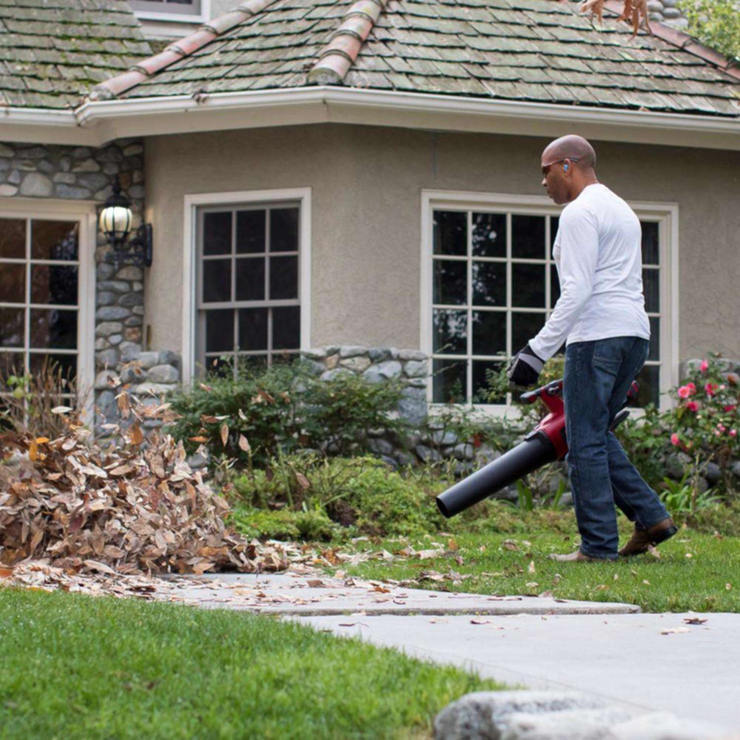 toro leaf blower vacuum