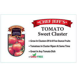 Chef Jeff Red Premium Sweet Cluster Tomato Vegetable Plant