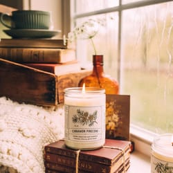 Finding Home Farms White Cinnamon Pinecone Scent Candle 11 oz