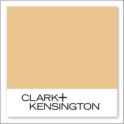 Clark+Kensington Celebrate the Moment 18B-4