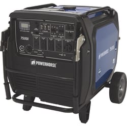 Powerhorse 240 V Gas Generator