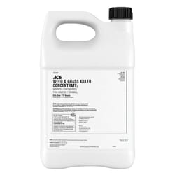 Ace Weed and Grass Killer Concentrate 1 gal