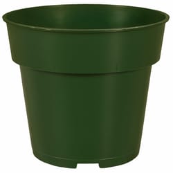 HC Companies 4 in. D Plastic Grower Pot Evergreen