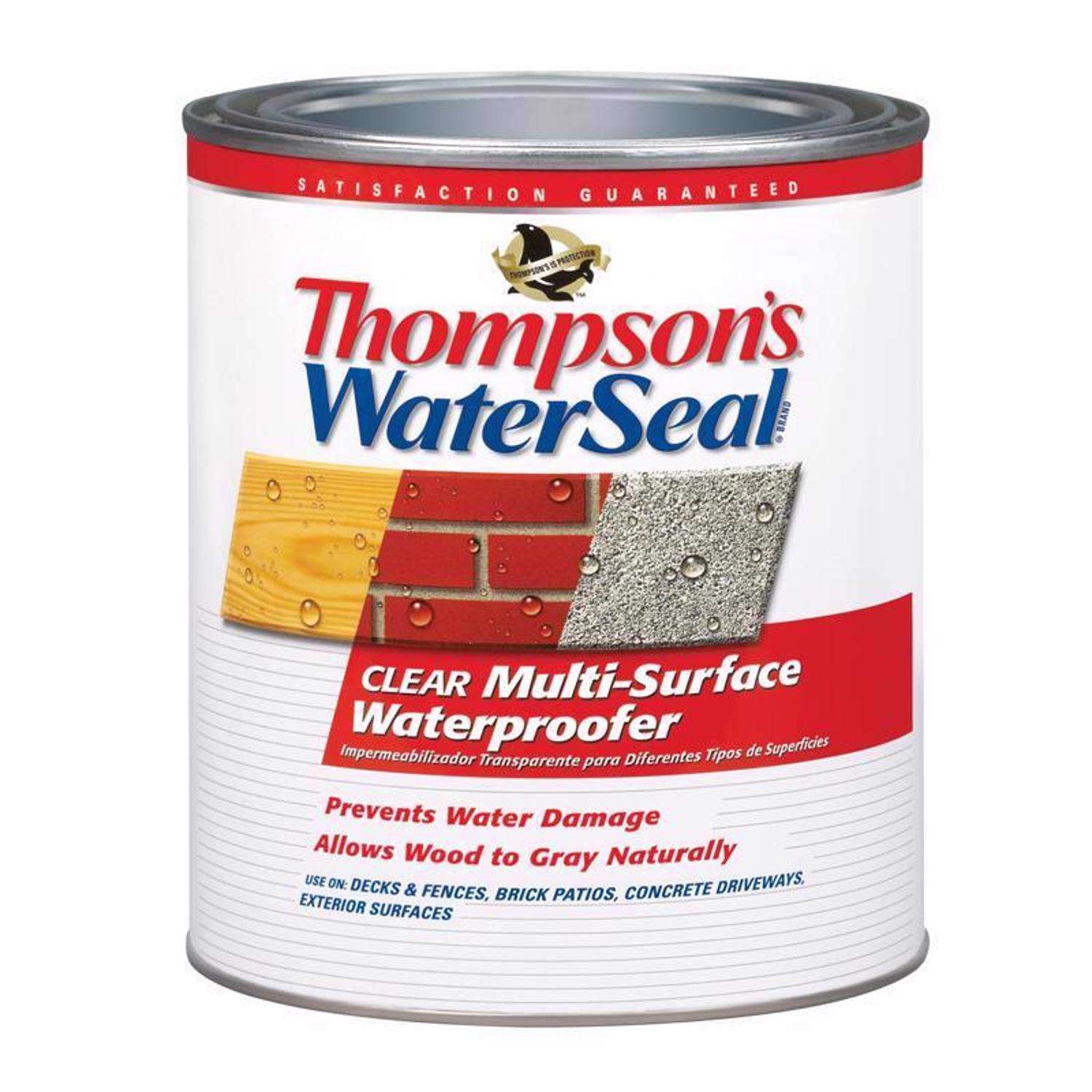 Thompson's WaterSeal Clear WaterBased MultiSurface Waterproofer 1 qt