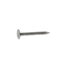 Grip-Rite 7/8 in. Roofing Electro-Galvanized Steel Nail Flat Head 1 lb