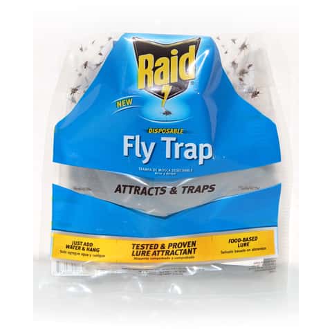 Raid Window Fly Trap (12 Pack)k Indoor Insect Trap (12-Pack) at