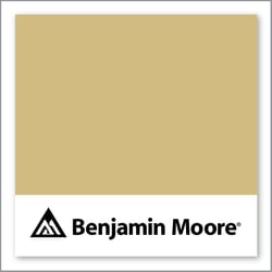 Benjamin Moore Wandering Heart 264