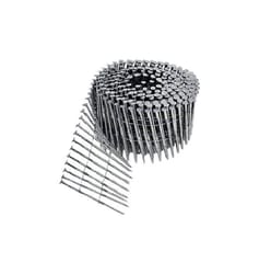 Bostitch 2-1/2 in. L X 13 Ga. Wire Coil Stainless Steel Siding Nails 15 deg 1,800 pk