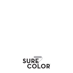 Rust-Oleum Sure Color Flat White Water-Based Paint + Primer Interior 1 gal