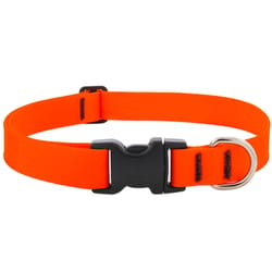 LupinePet Splash Neon Orange BioThane Dog Adjustable Collar Large