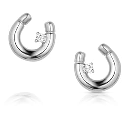 Montana Silversmiths Women's Little Horseshoe Silver Earrings Brass Water Resistant