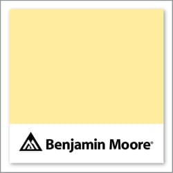 Benjamin Moore Yellow Lotus 2021-50