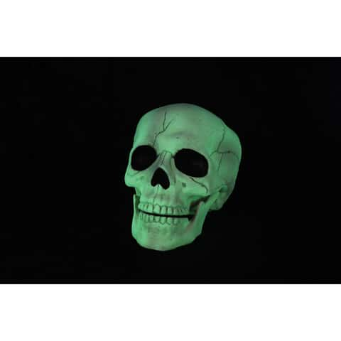 Laundry Detergent Glowing Skull