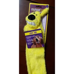 Multipet Loofa Assorted Plush Dog Toy