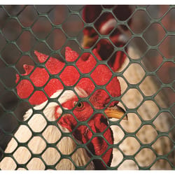 UCandy Plastic Chicken Wire Fence Mesh, Hexagonal Fencing Wire for  Gardening,Garden Netting Poultry Net Poultry Fence Chicken Wire Fence  Poultry