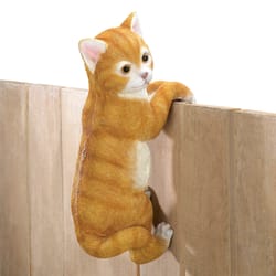 Summerfield Terrace Orange Polyresin 11.25 in. H Hanging Buddy Cat Indoor/Outdoor Decoration